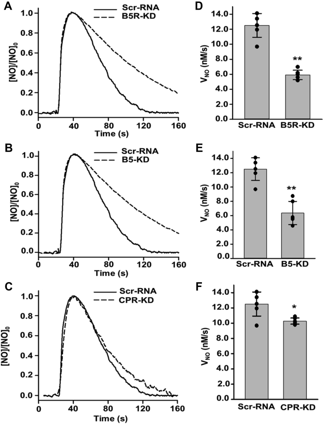 Figure 7