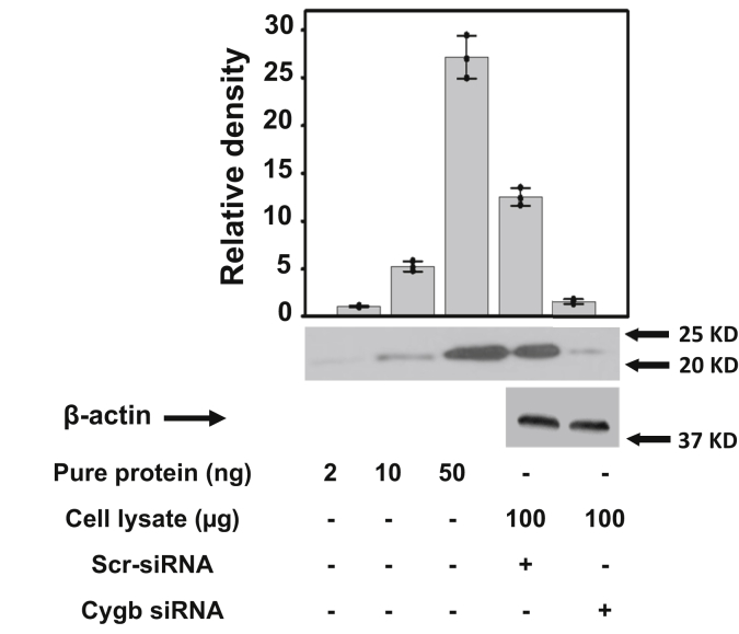 Figure 3