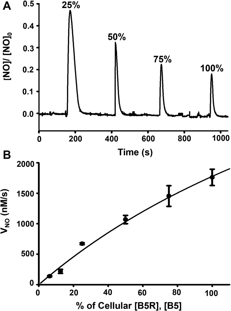 Figure 9