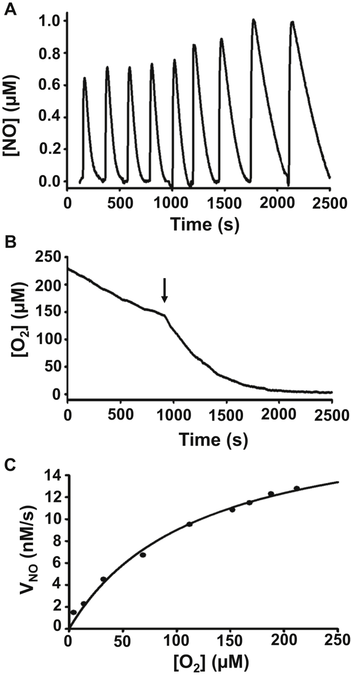 Figure 2