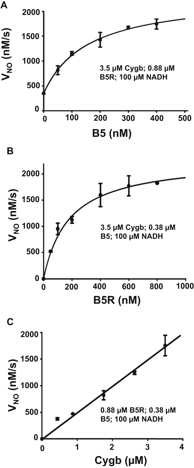 Figure 10