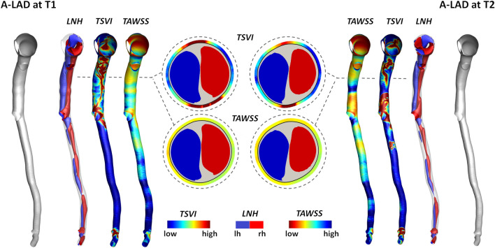 Figure 7