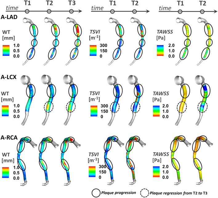 Figure 4