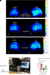 Fig. 2.