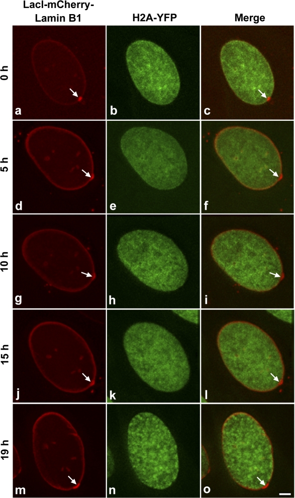 Figure 6.