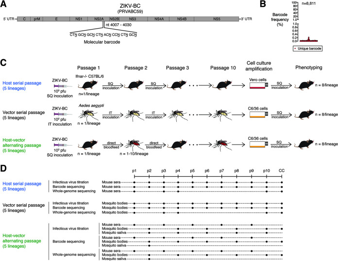 FIG 1