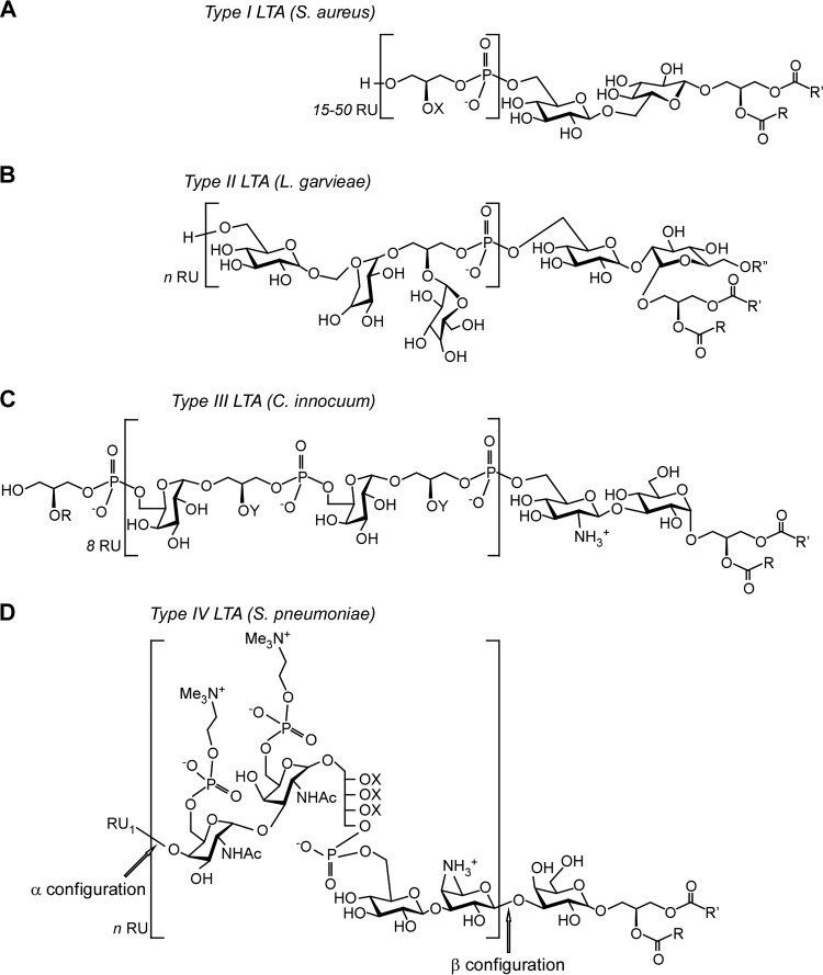 FIG 1