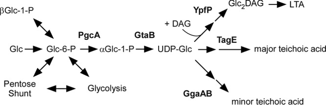 FIG 2