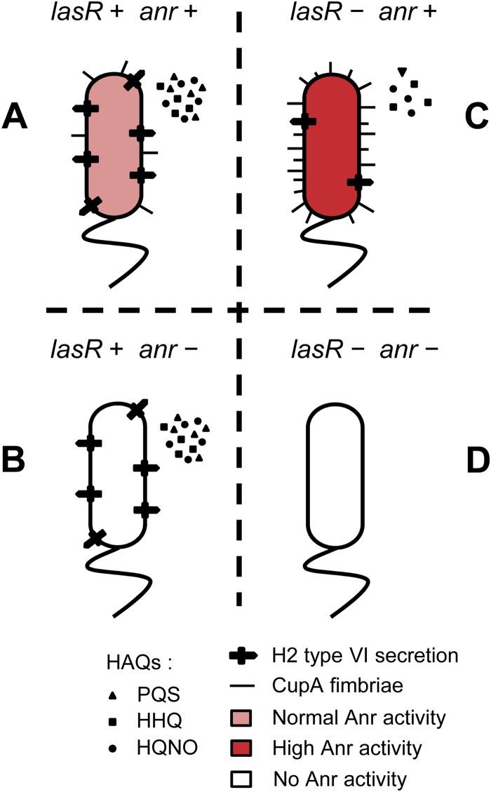 FIG 6