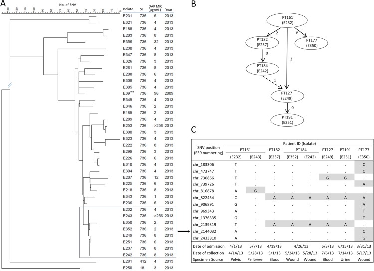 Fig 4