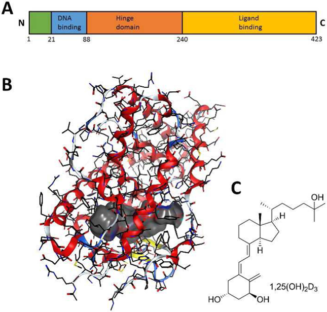 Figure 2.