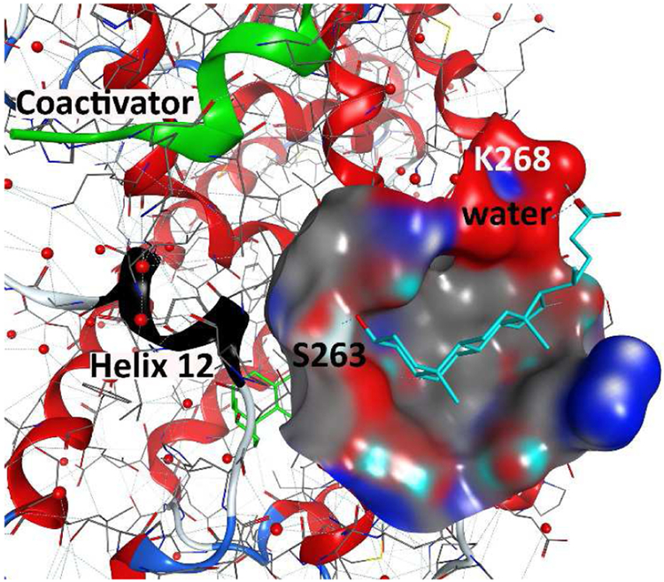 Figure 10.