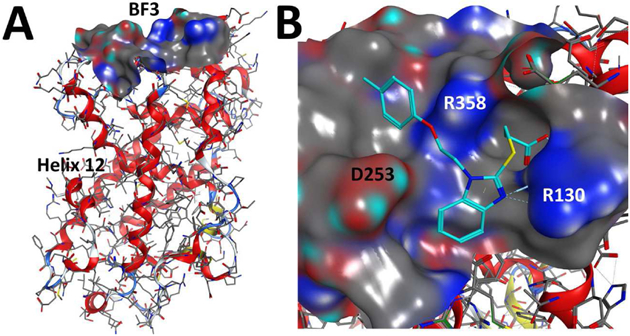 Figure 11.