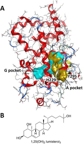 Figure 3.