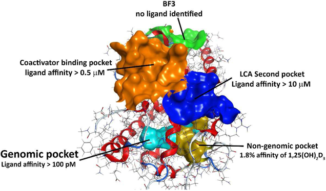 Figure 13.