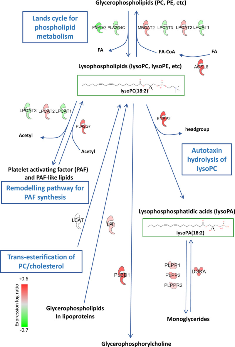 Figure 6.