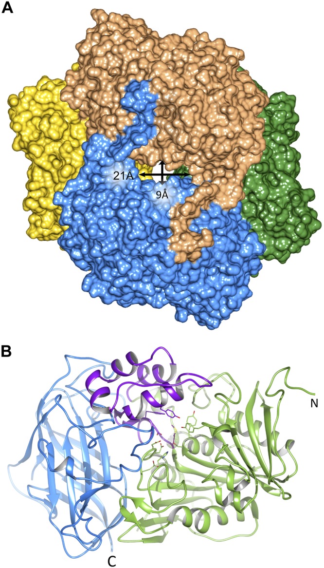 Figure 2.