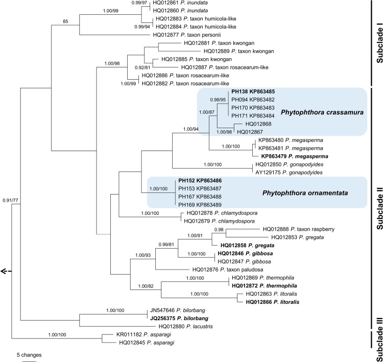 Fig 3