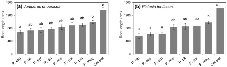 Fig 7