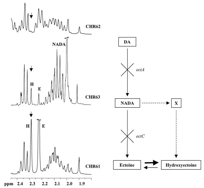 FIG. 6