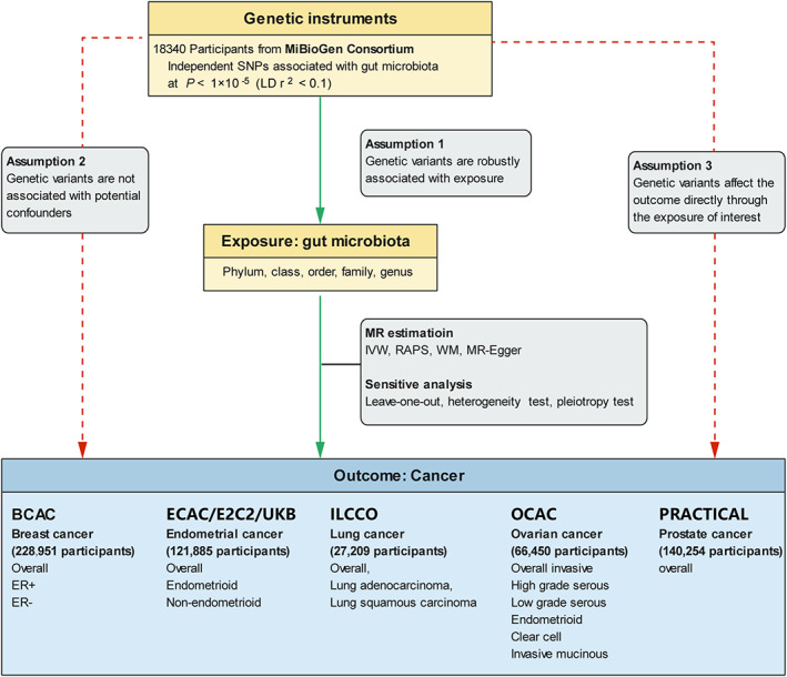 FIGURE 1