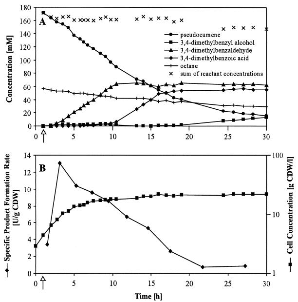 FIG. 6.