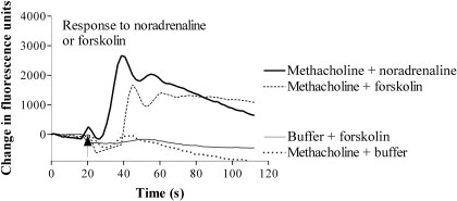 Fig. 12.