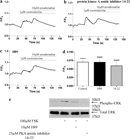 Fig. 13.