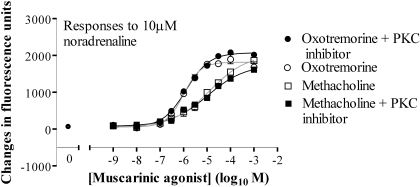 Fig. 11.