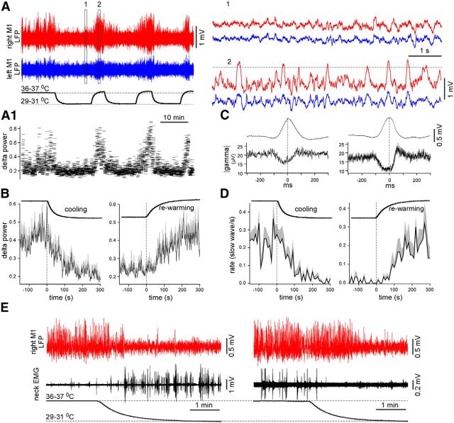 Figure 10.