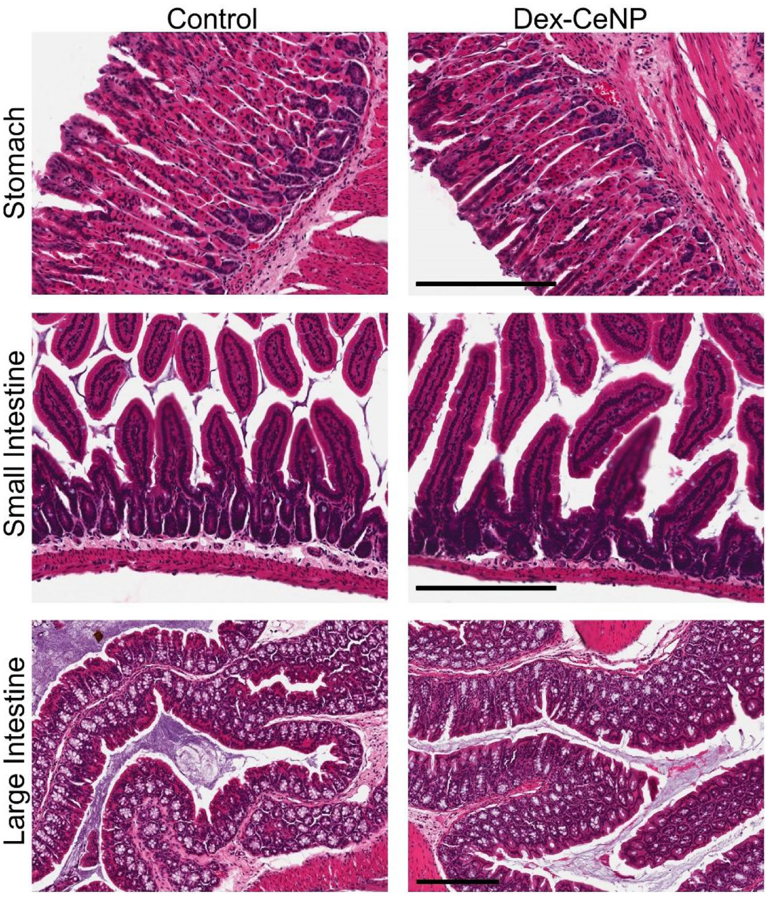 Figure 7.