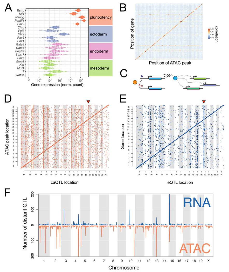 Figure 2: