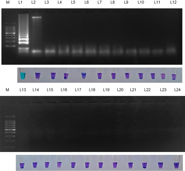 Figure 4