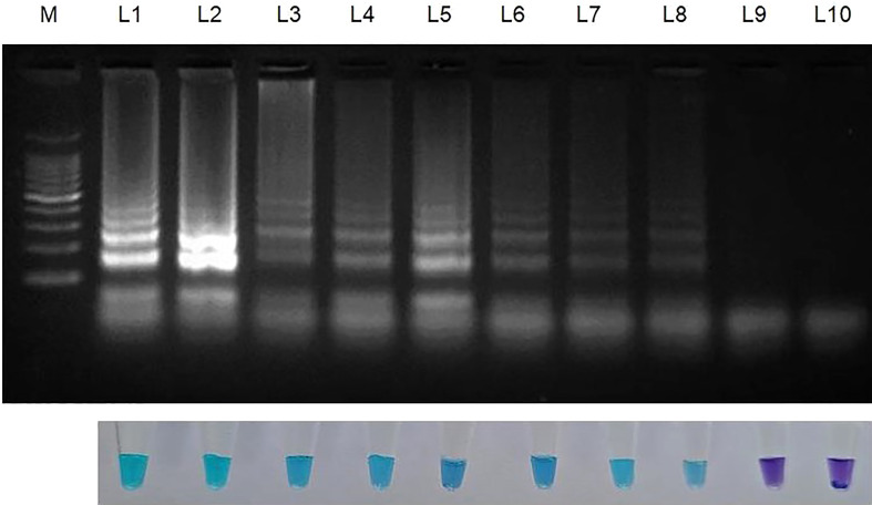 Figure 3