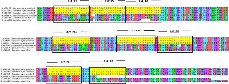 Figure 2