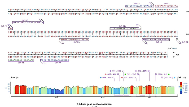 Figure 1