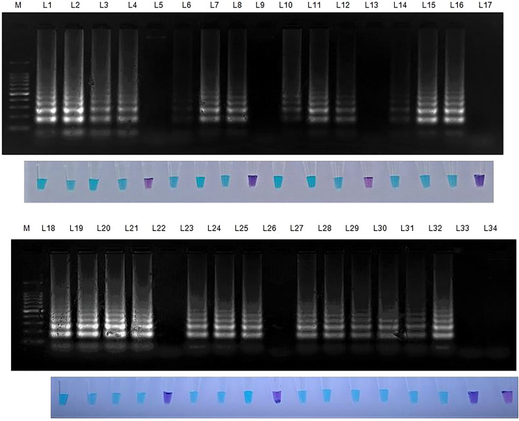 Figure 5