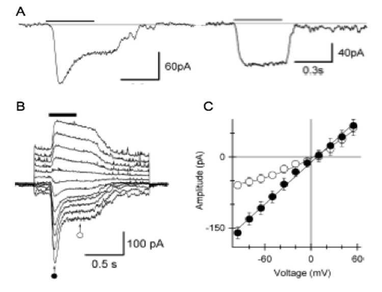 Fig. 8