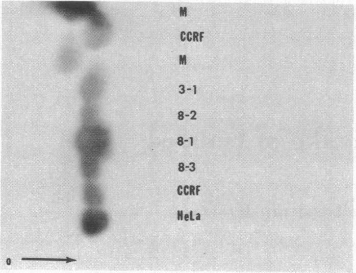 graphic file with name pnas00048-0156-a.jpg