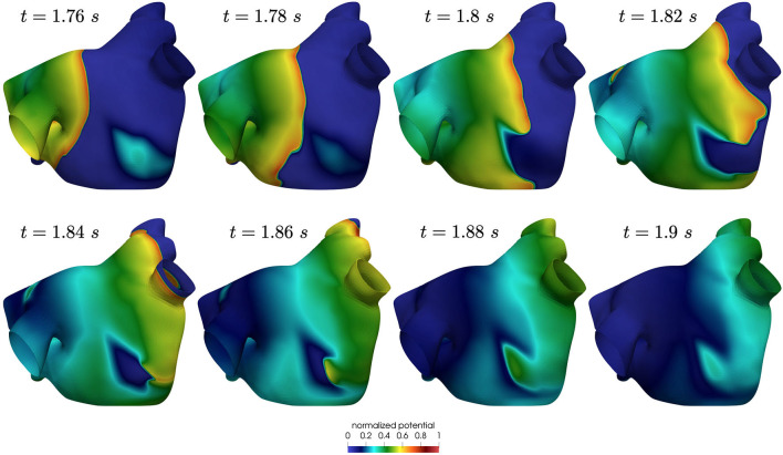 Figure 11