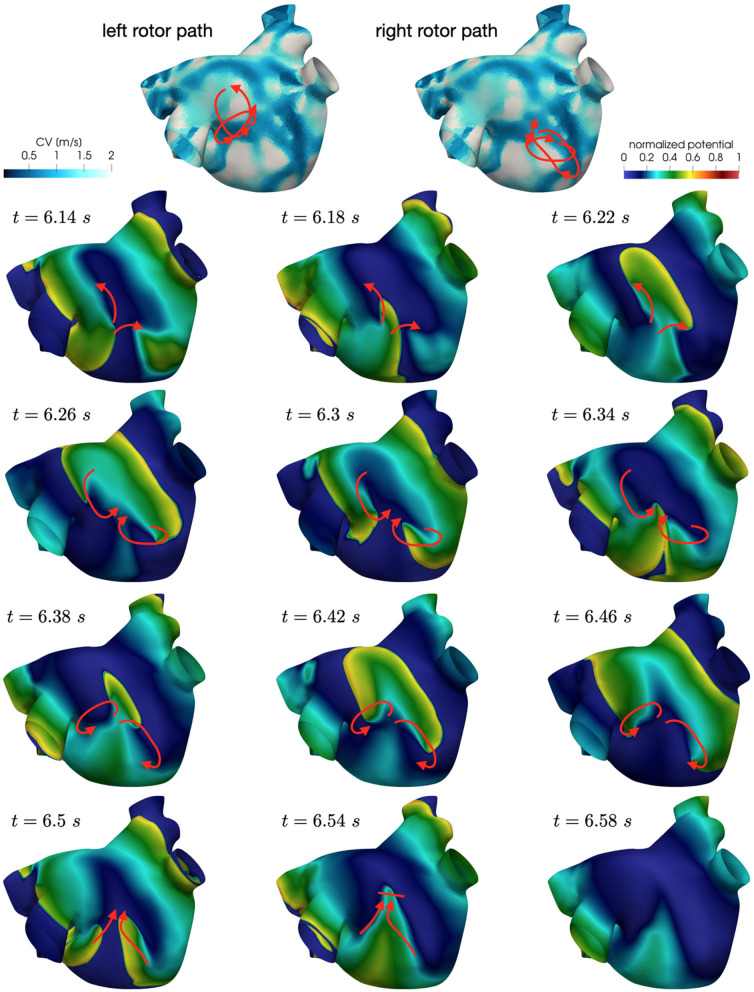 Figure 14