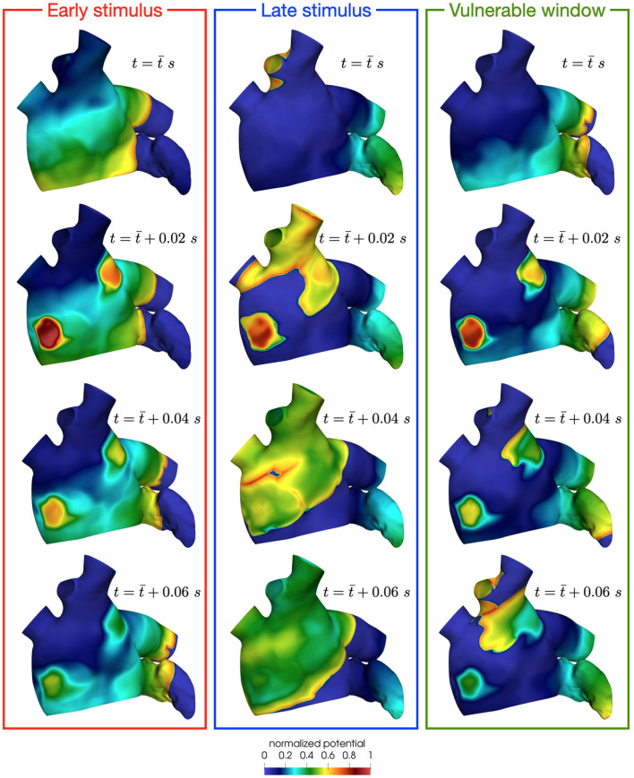 Figure 12