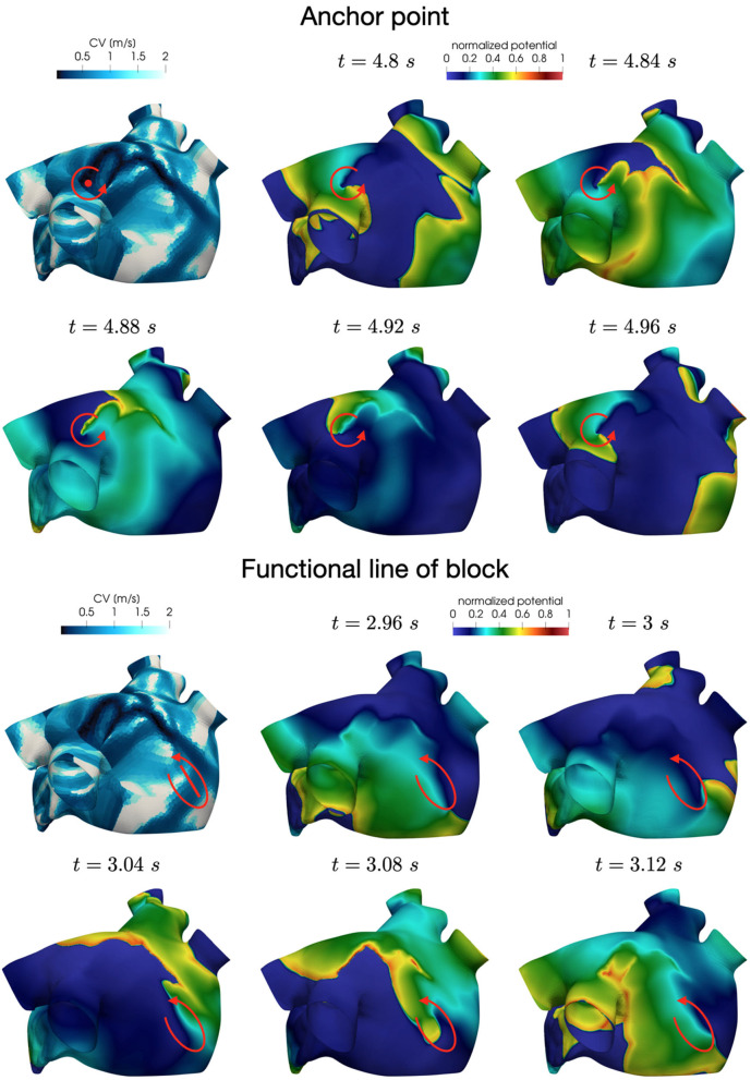 Figure 7