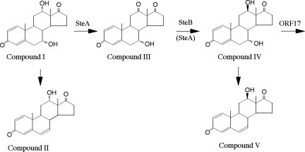 FIG. 7.