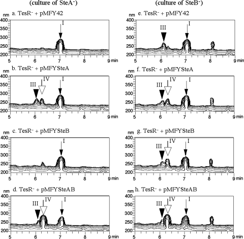 FIG. 6.