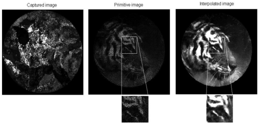 Figure 6.