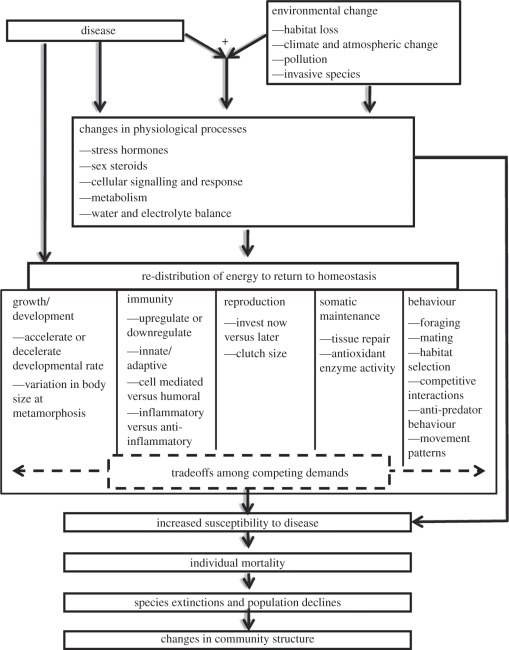 Figure 1.