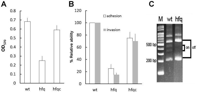 Figure 5