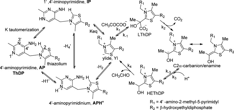 Scheme 1