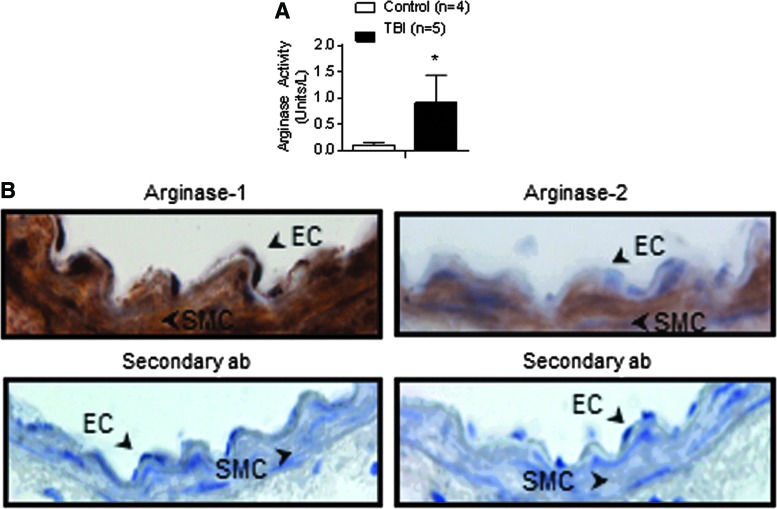 FIG. 7.